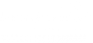 Learning Foward Indiana